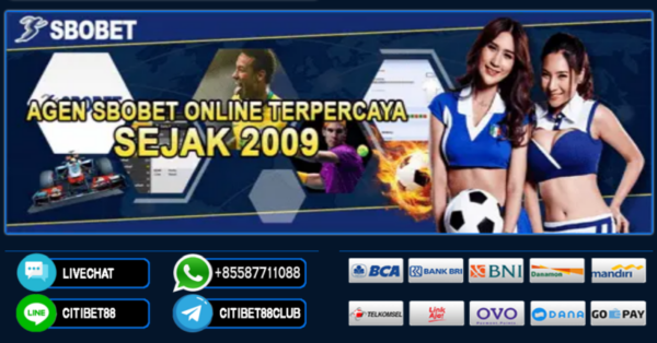 Agen sbobet88 online Panduan Lengkap untuk Pemain