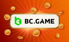 KYC in BC Game Understanding the Importance of User Verification