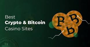 Embrace the Rush Experience the Thrill of Crazy Adventures